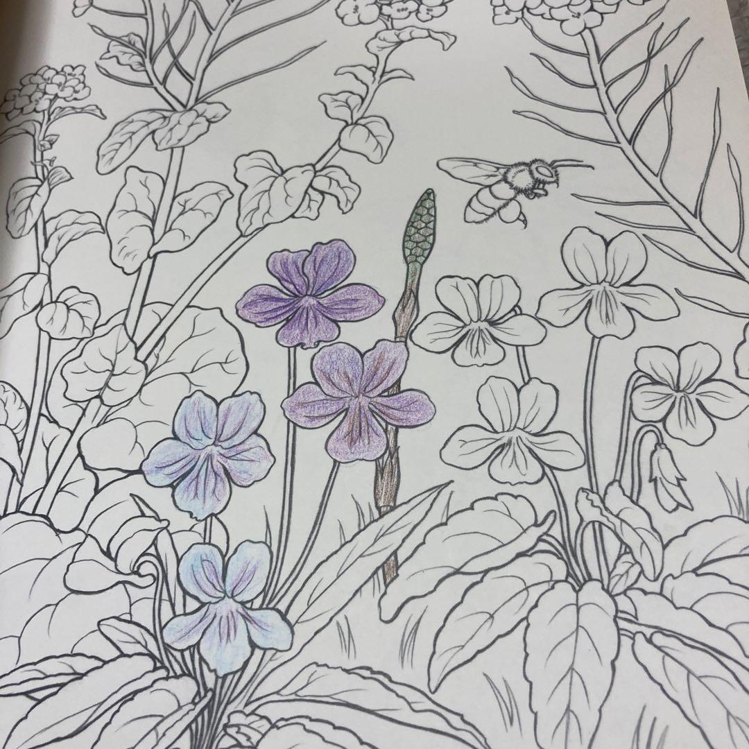 C-脳がみるみる若返るぬり絵 花鳥風月 — image 3