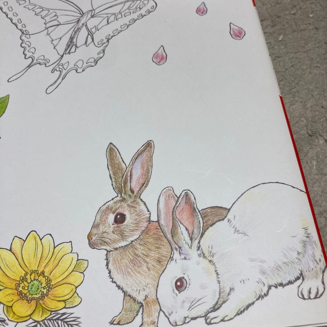 C-脳がみるみる若返るぬり絵 花鳥風月 — image 4