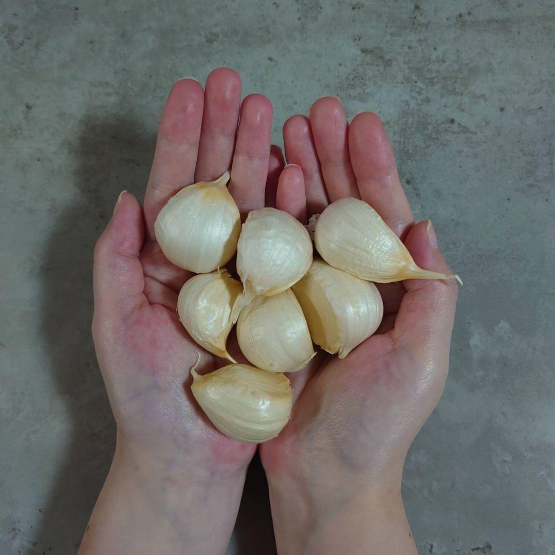 青森県産 ホワイト六片 ニンニク 1kg‼R7年産 — image 2