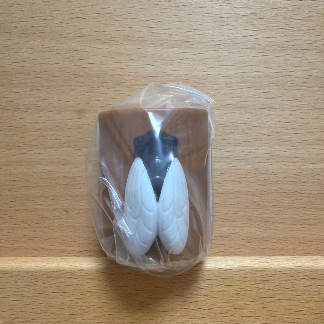 SO-TA セミの鳴き声 カプセルトイ クマゼミ — image 2