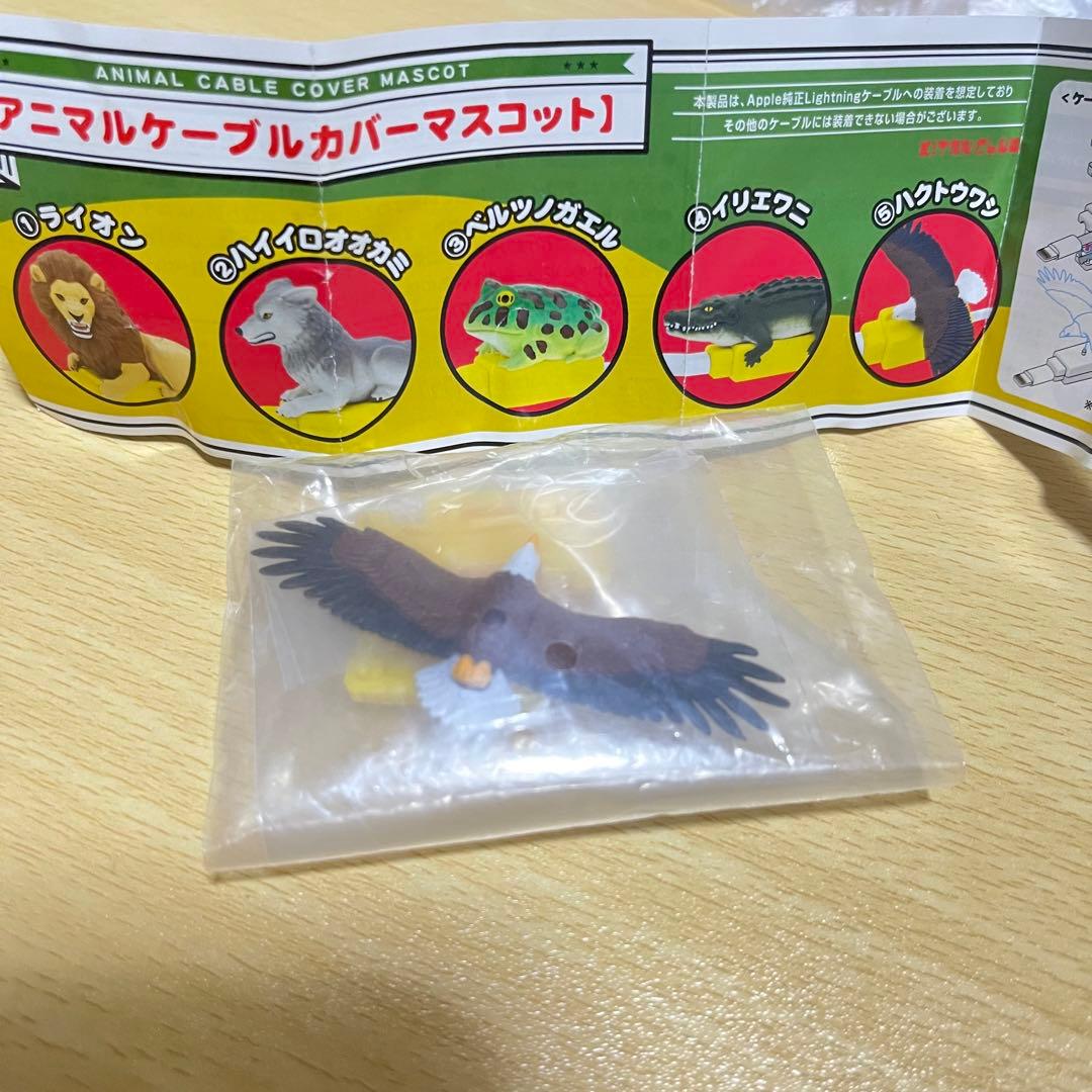 アニマルケーブルカバーマスコット ハクトウワシ　大地のハンター展 — image 2