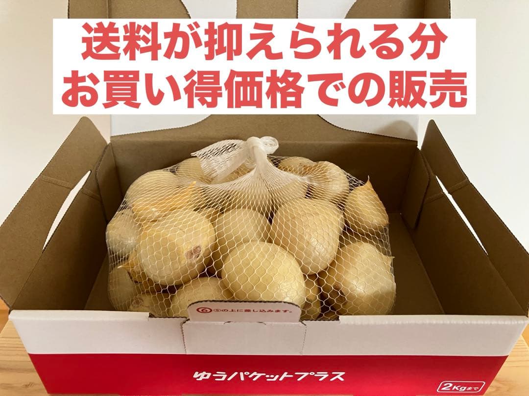【農薬不使用】生ジャンボニンニク バラ1kg — image 2