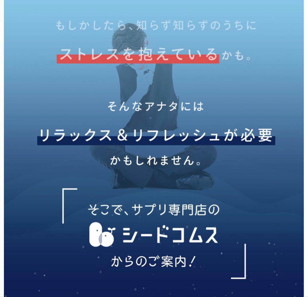 シードコムス‪☆★GABA ☆ギャバ ★休息〜睡眠〜☆約6ヶ月分★☆ — image 5