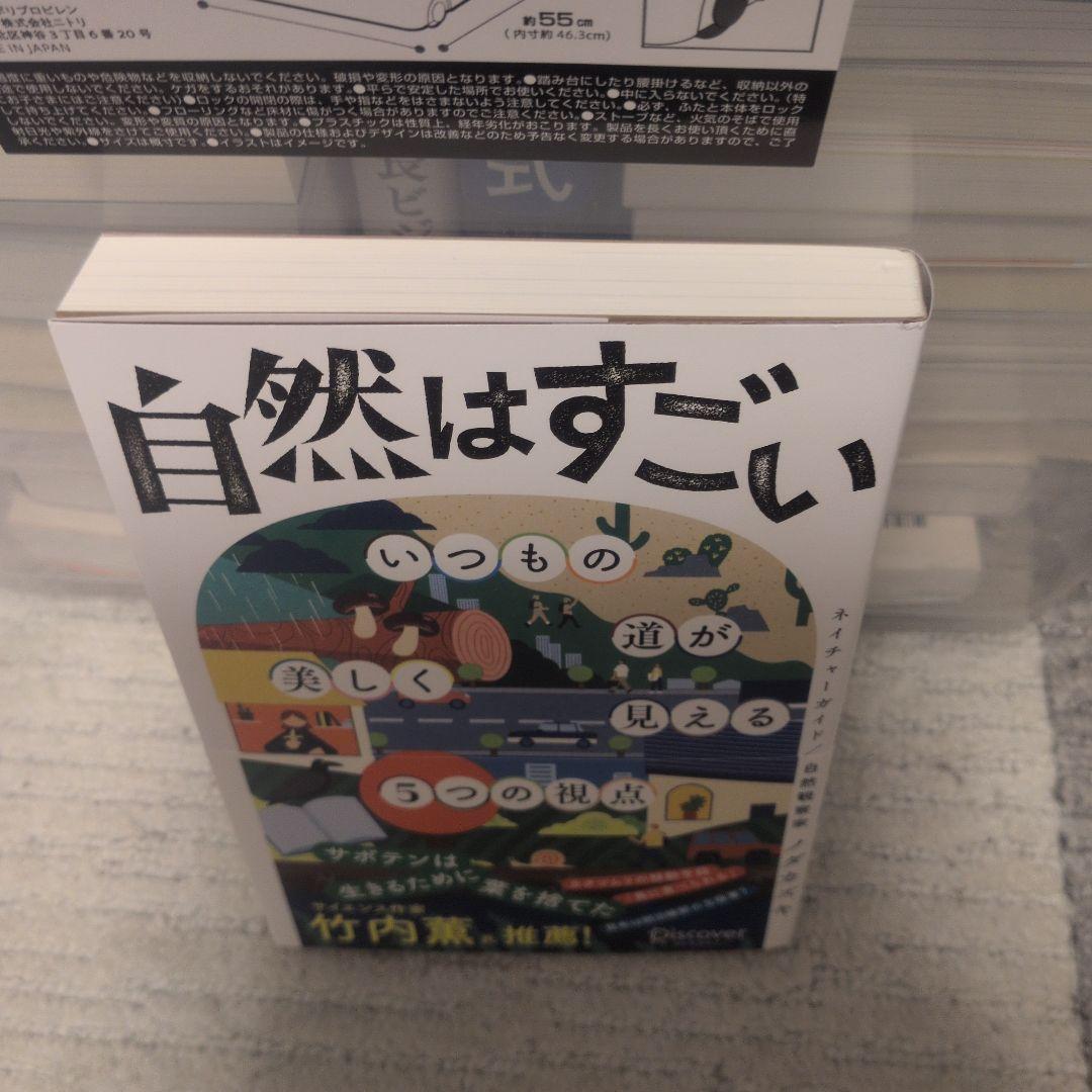 自然はすごい いつもの道の見え方が変わる5つの視点 — image 3