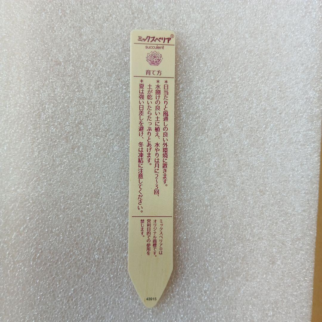 ミックスベリア　札のみ　075　リラヘイズ — image 2