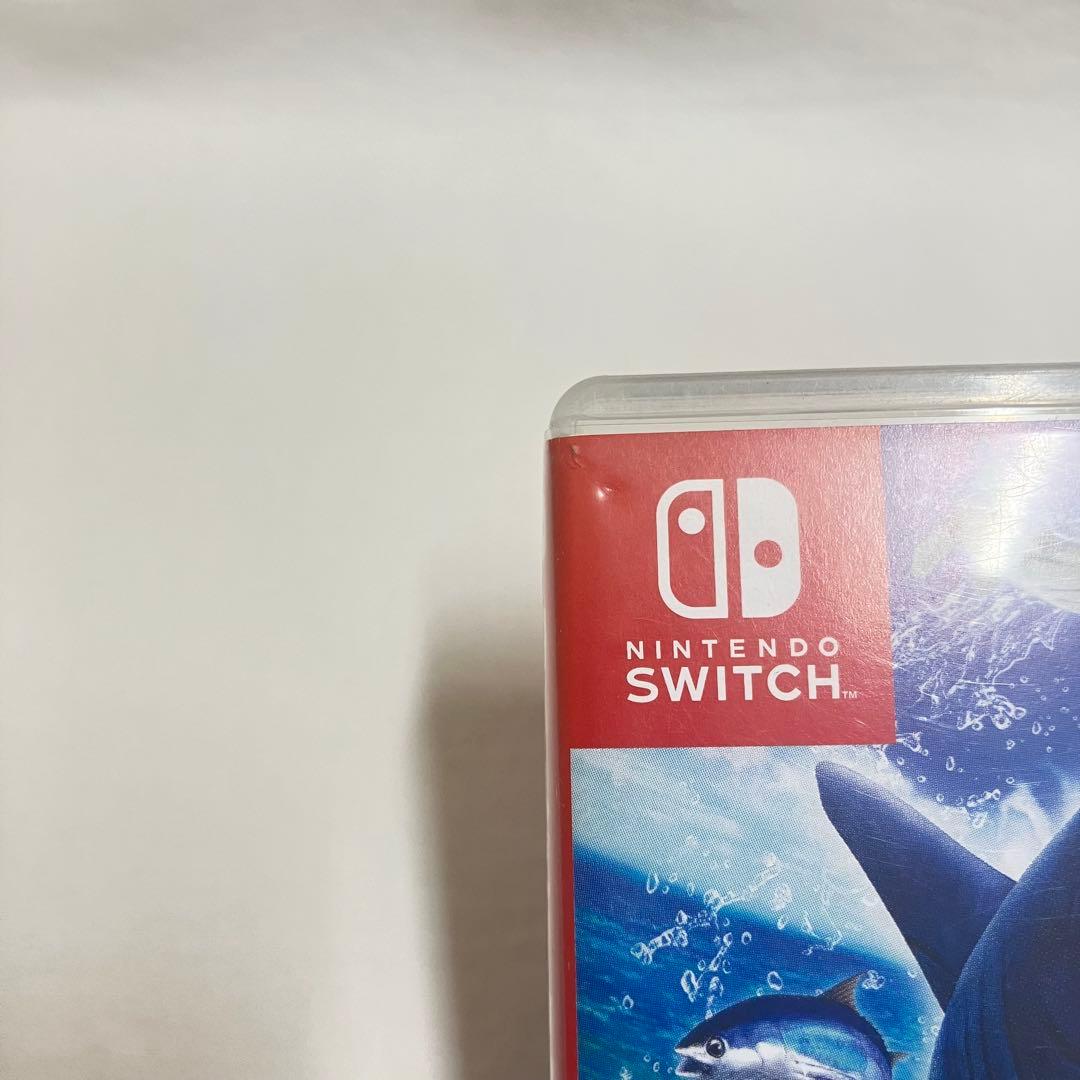 釣りスピリッツ Nintendo Switchバージョン — image 4