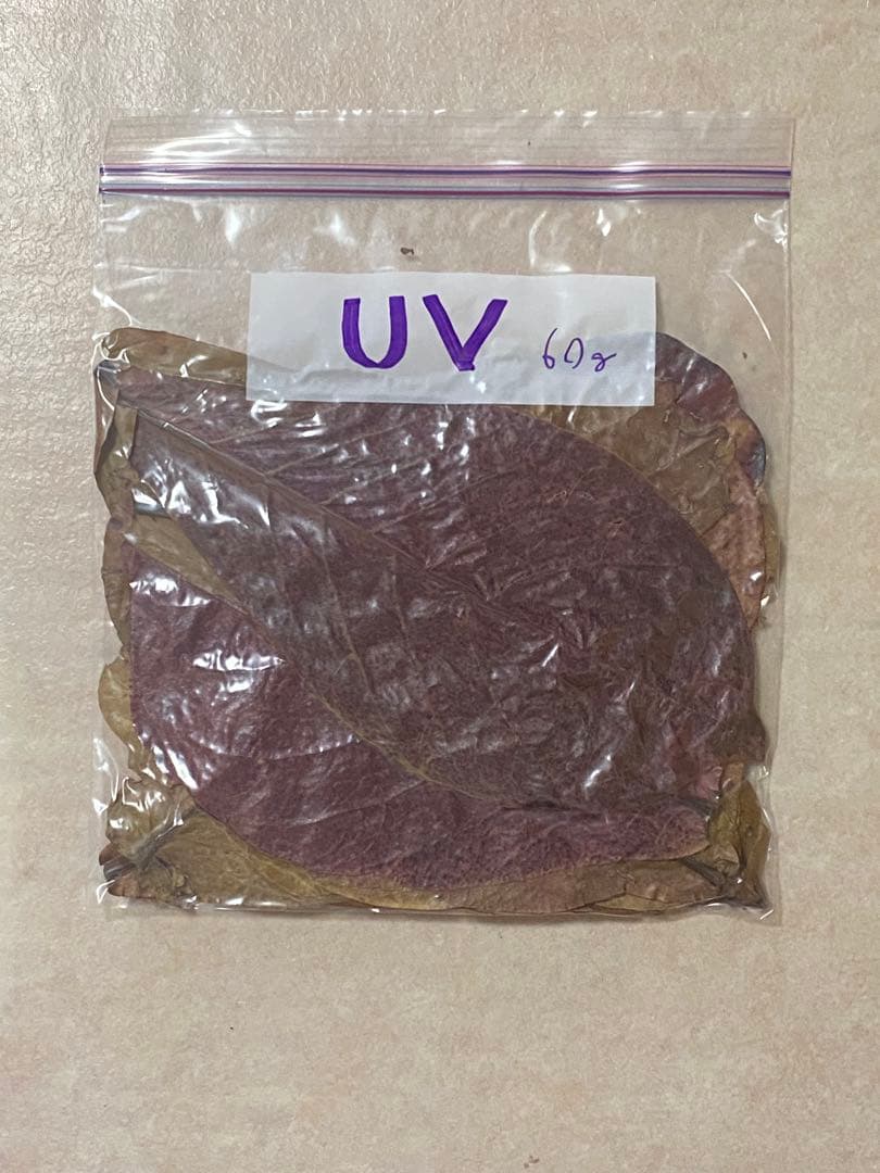 沖縄県やんばる産マジックリーフ 60g 20〜25枚入 UV殺菌灯照射済み⑤ — image 3