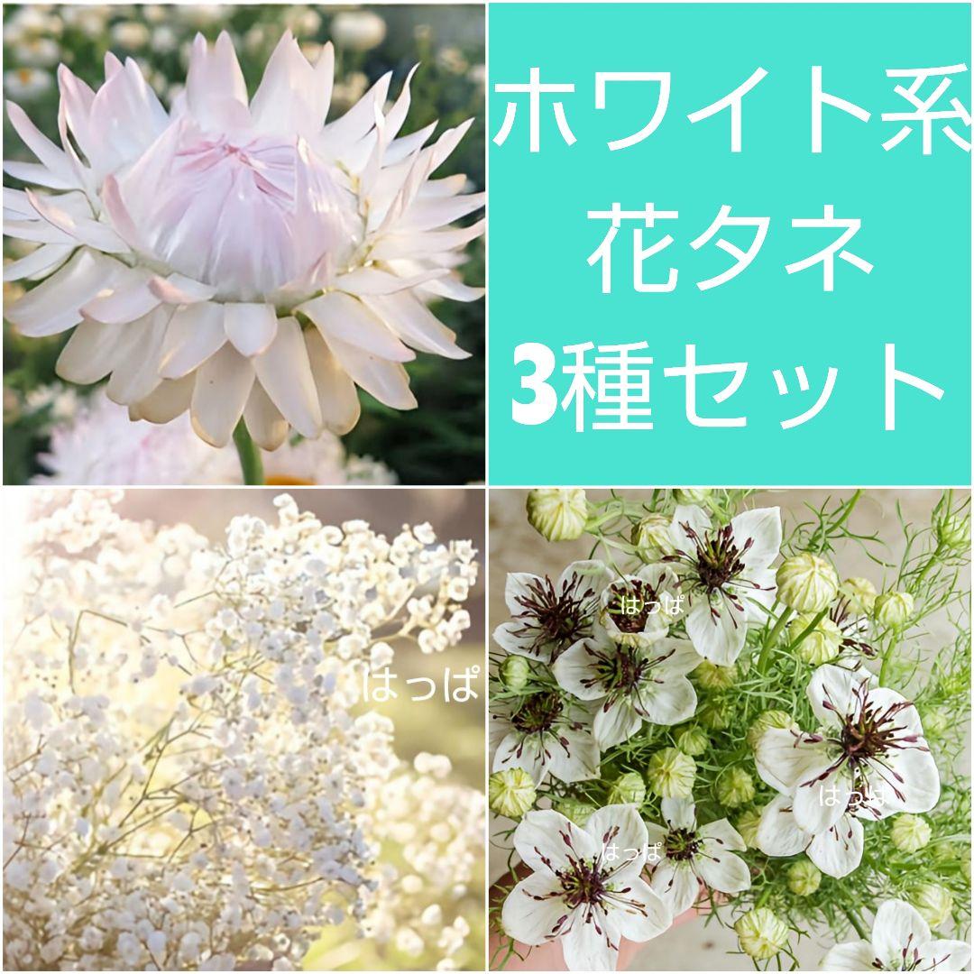 ゆうパケット発送 arisu様 リクエスト 5点 （同梱あり） — image 2