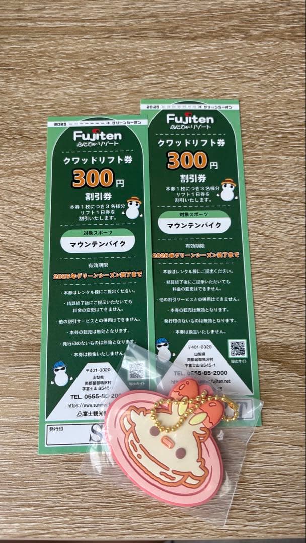 ふじてんリゾート クワッドリフト割引券 2枚セット — image 2