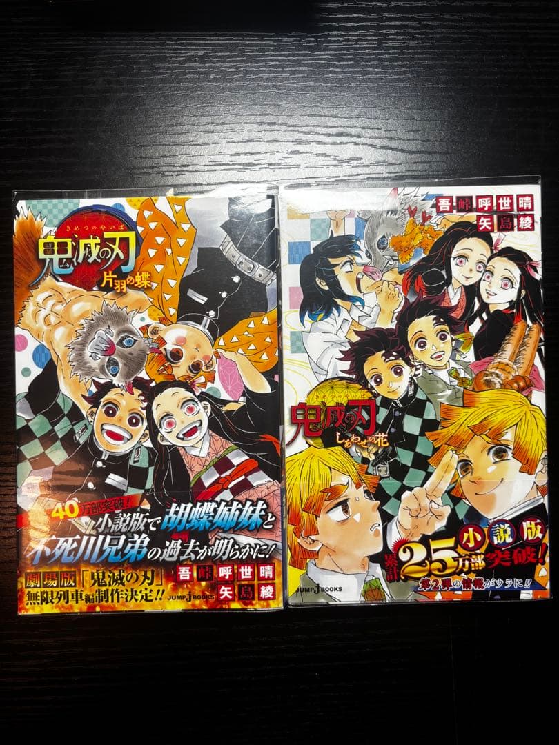 鬼滅の刃 コミック 1-21巻＋小説版セット — image 3