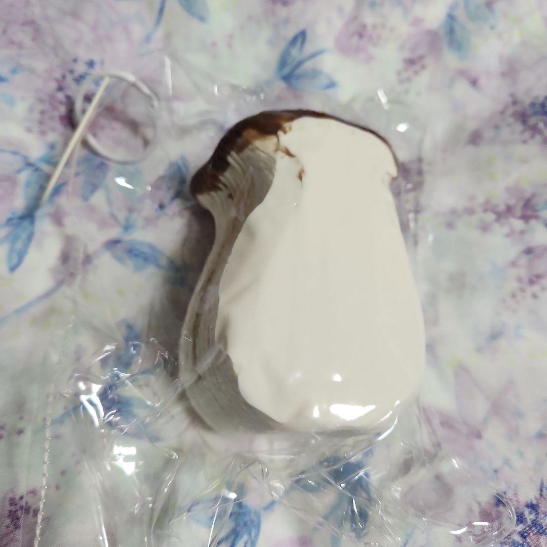 スクイーズ 昭子煎煎 エリンギ くま (硬め) — image 3