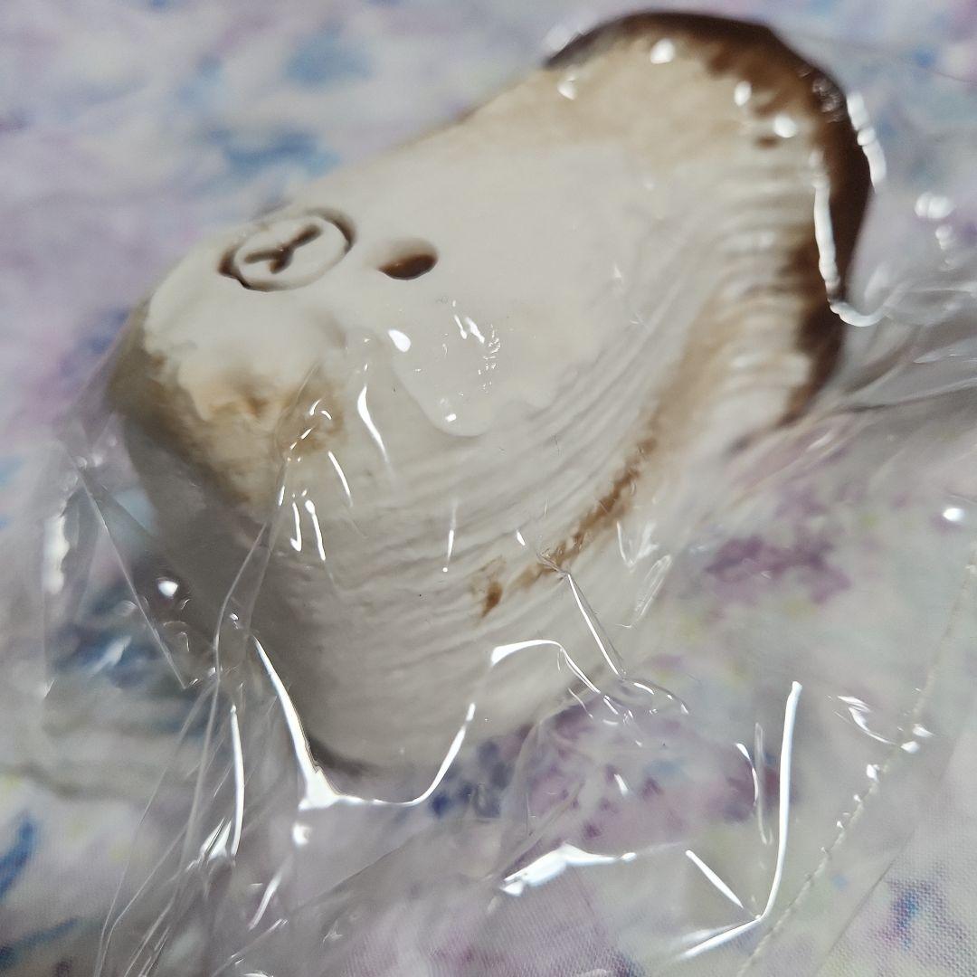 スクイーズ 昭子煎煎 エリンギ くま (硬め) — image 5