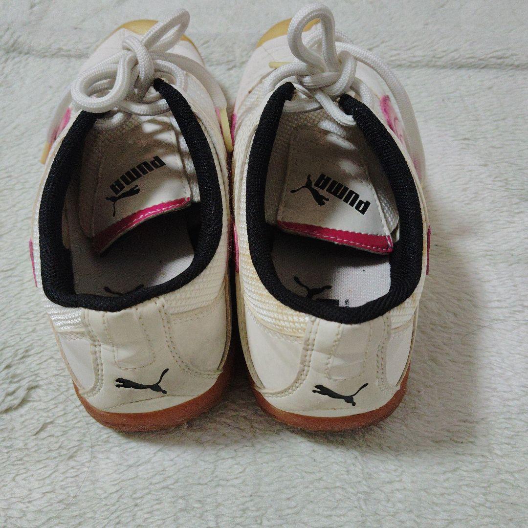 ピューマ — image 3