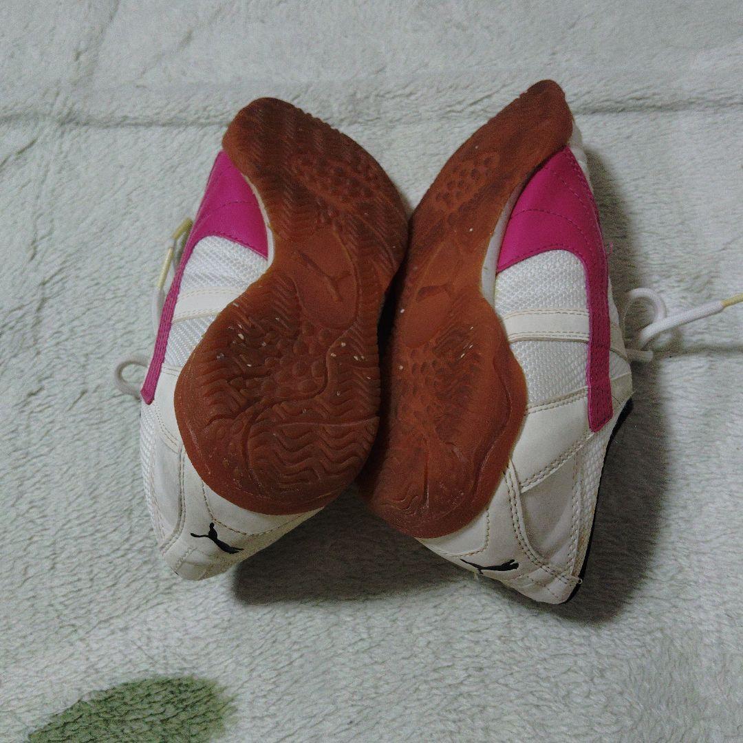 ピューマ — image 4