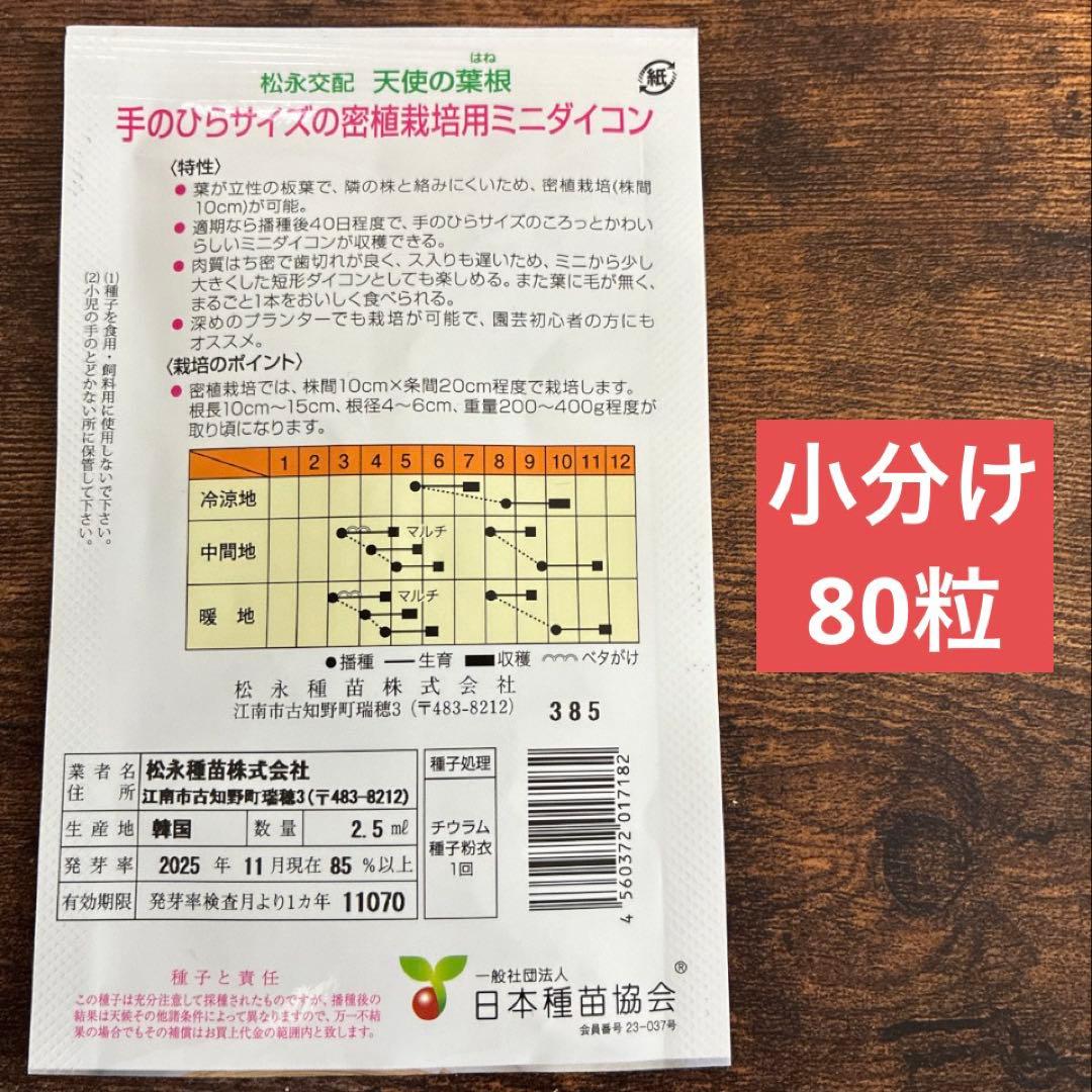 天使の葉根 80粒 ミニ大根の種 野菜の種 — image 2