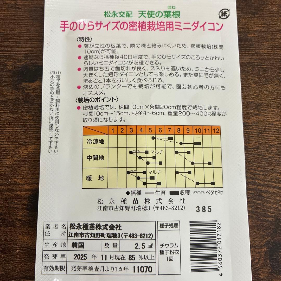 天使の葉根 80粒 ミニ大根の種 野菜の種 — image 4