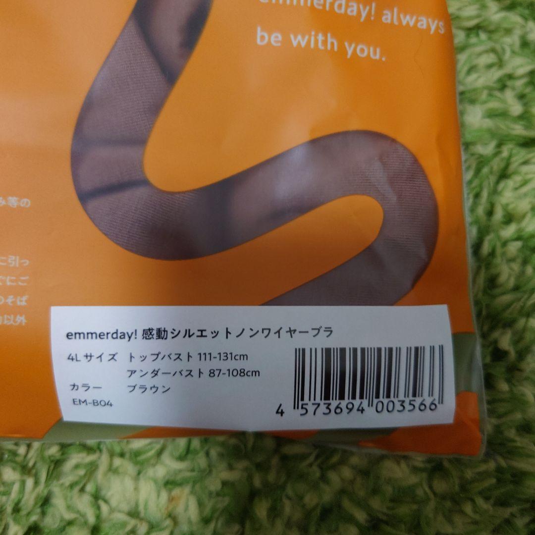 emmerday エマーディ　ブラウン　4L エマーデイ — image 3