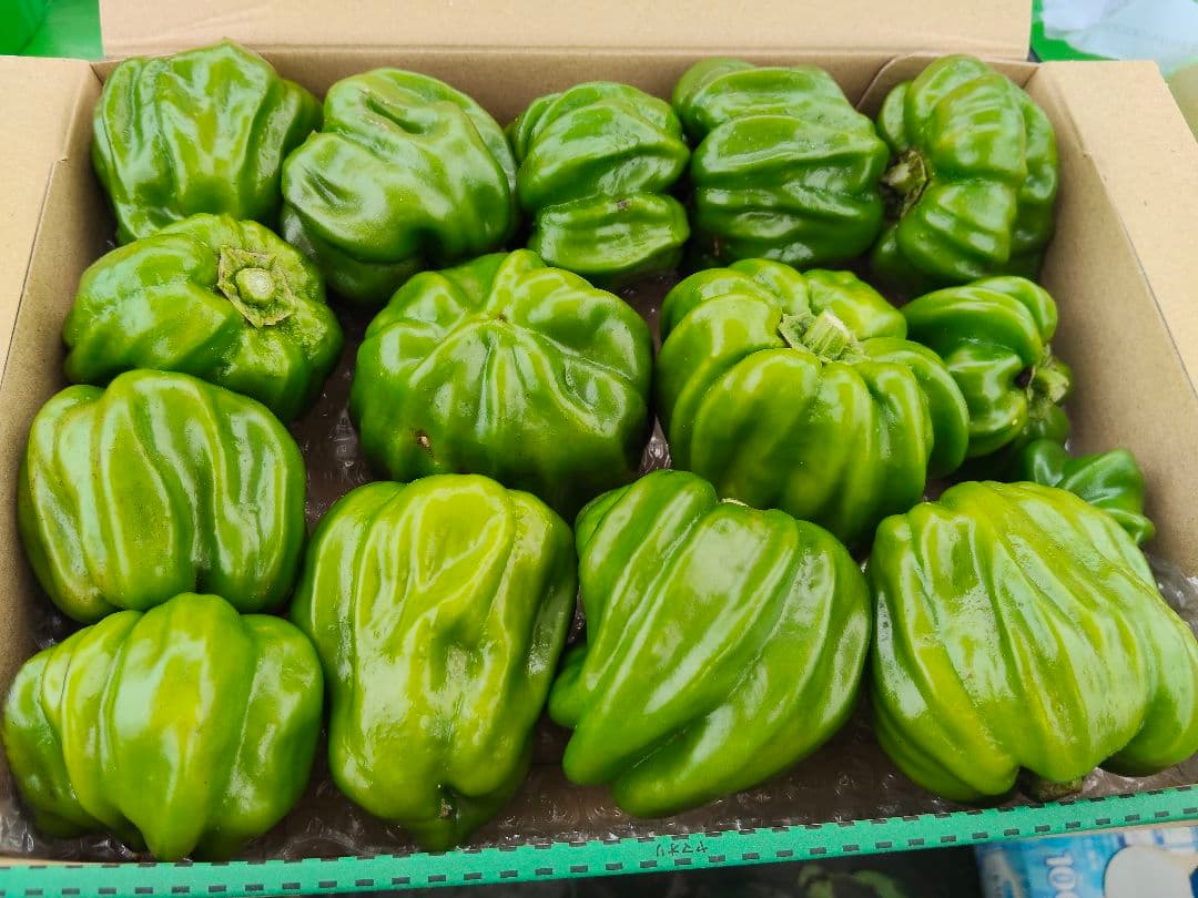 専用です — image 2