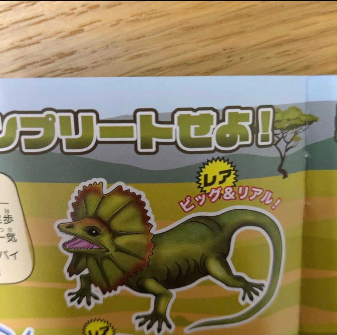 超のびーる！爬虫類リアル トカゲ＆ワニ エリマキトカゲ — image 2