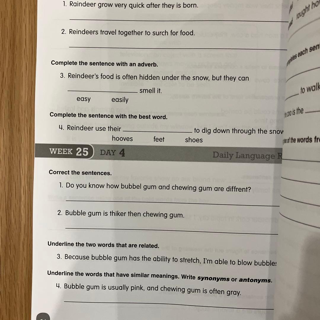 Evan-Moor Daily Language Review Grade 3 — image 3
