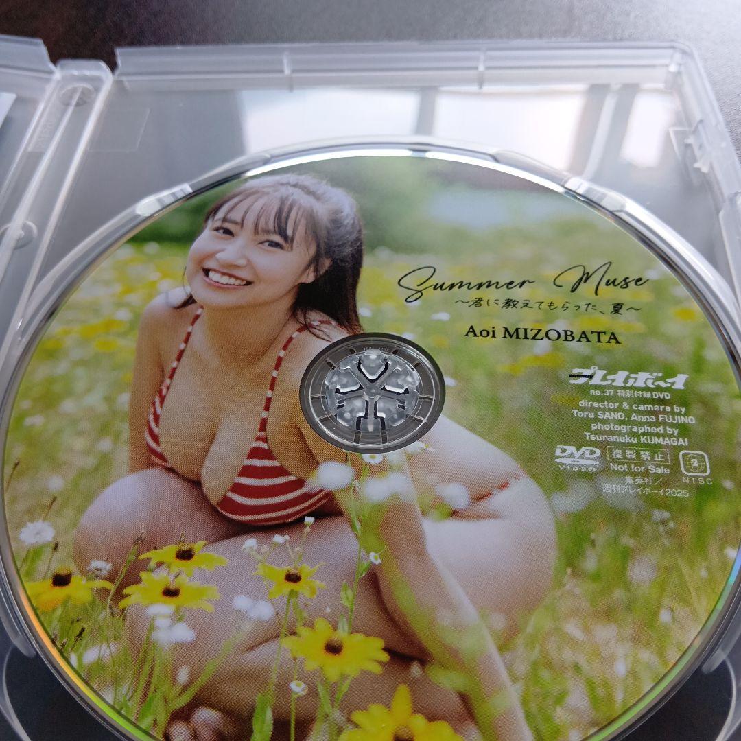 溝端葵 Summer Muse DVD 週刊プレイボーイ付録 — image 2