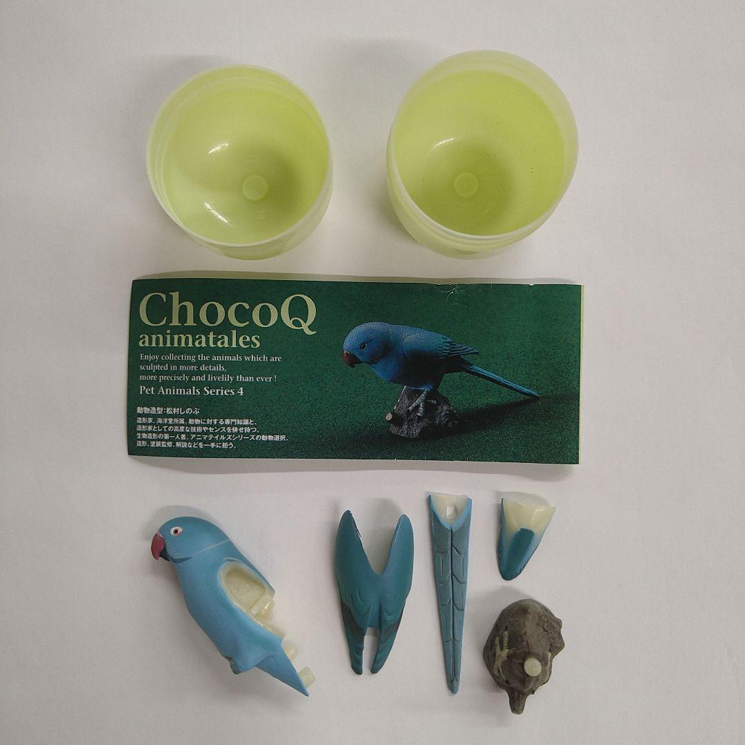 【土日限定価格】ワカケホンセイインコ チョコQ ペット動物 ４弾【送料込み】 — image 2