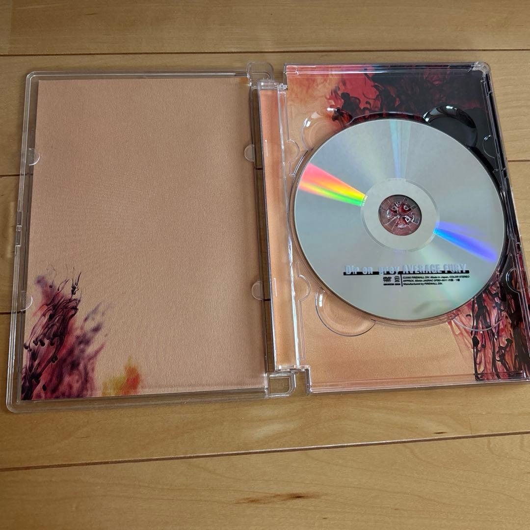Dir en grey/Average Fury — image 3