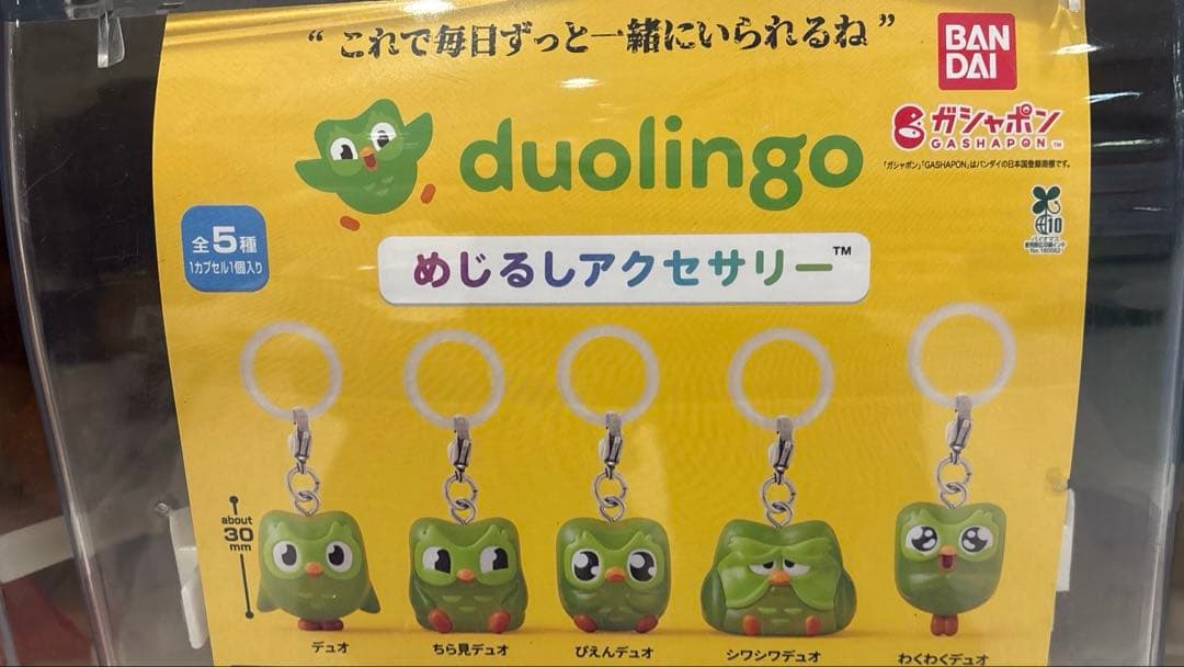 Duolingo めじるしアクセサリー デュオ＆シワシワデュオ — image 2