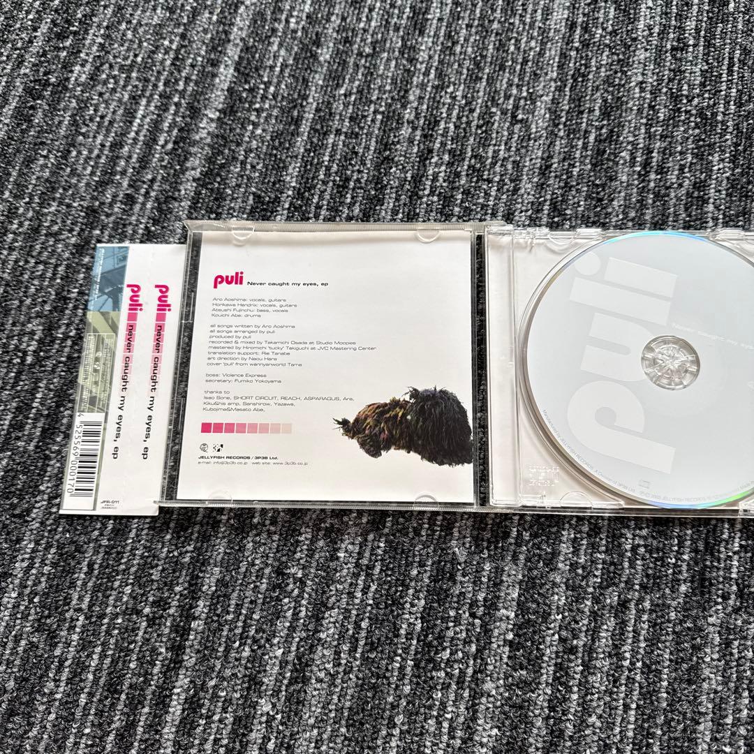 puli / never caught my eyes ,ep — image 2