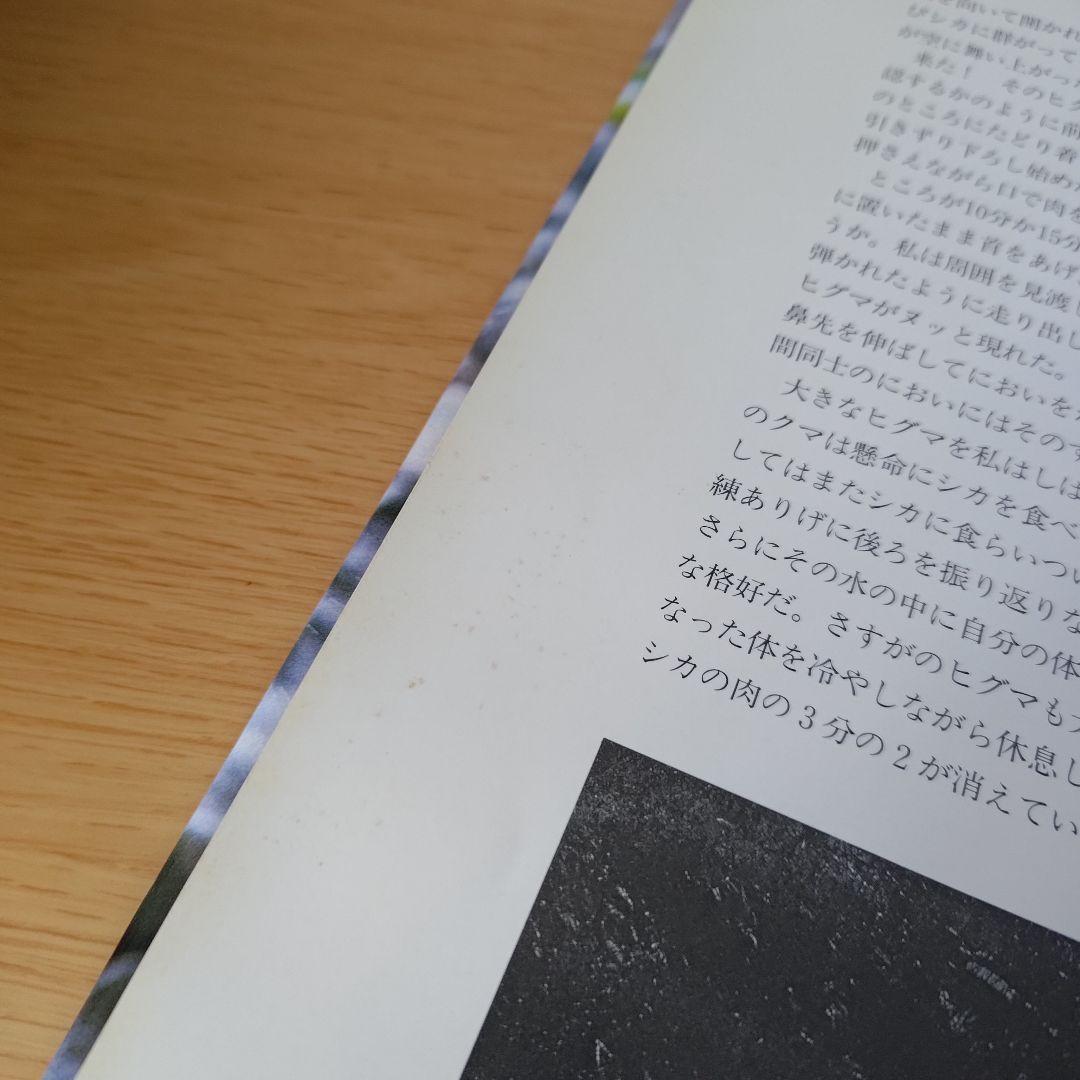 a ヒグマ EZO BROWN BEAR 窪田正克 熊 — image 4