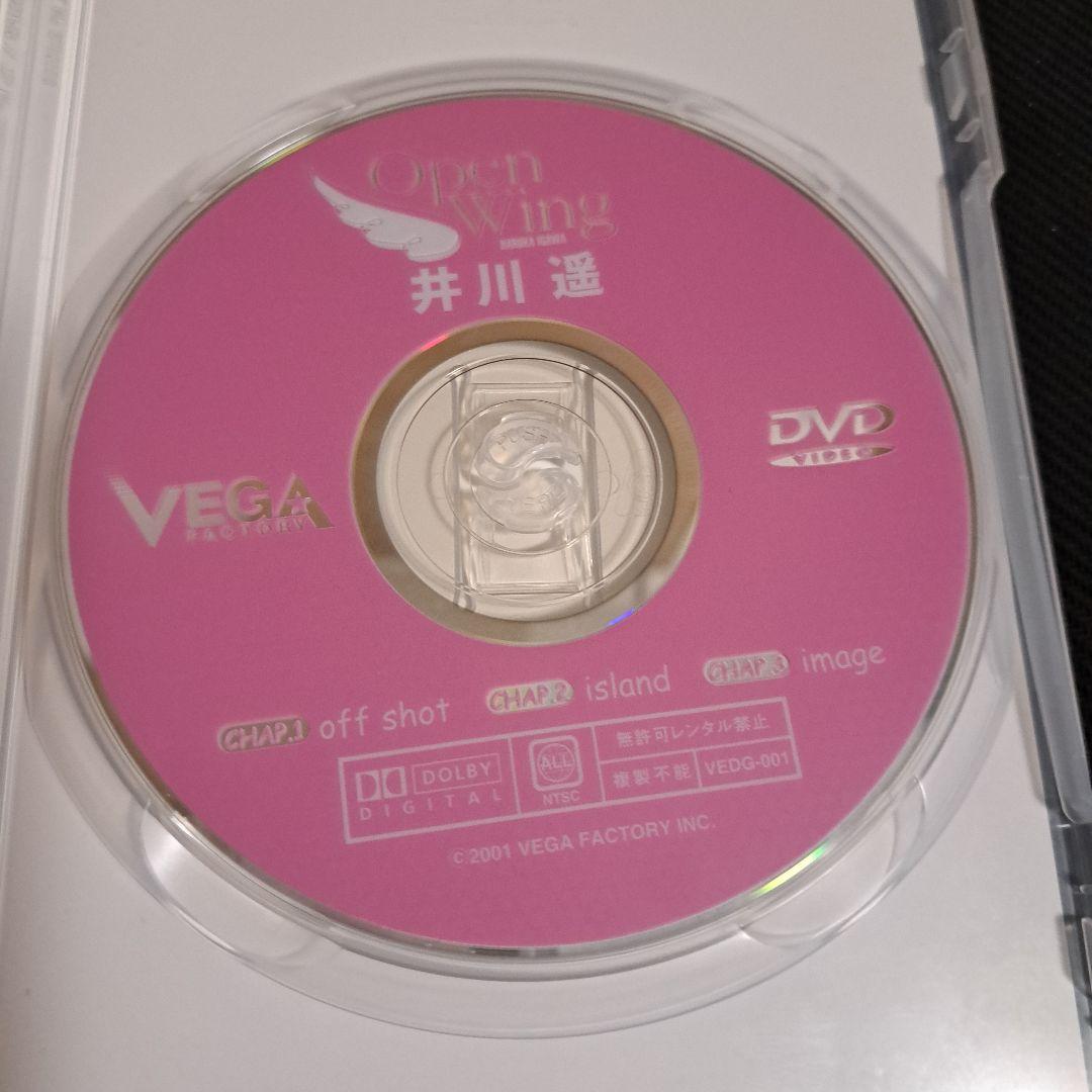 「井川 遥 Open Wing」 DVD — image 4