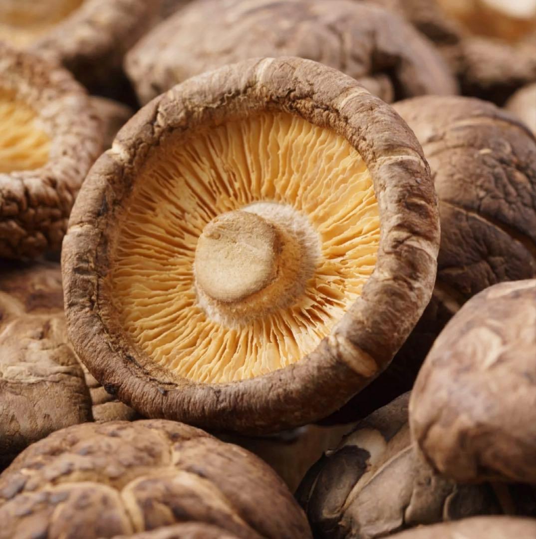 特級　干し椎茸 100g — image 2