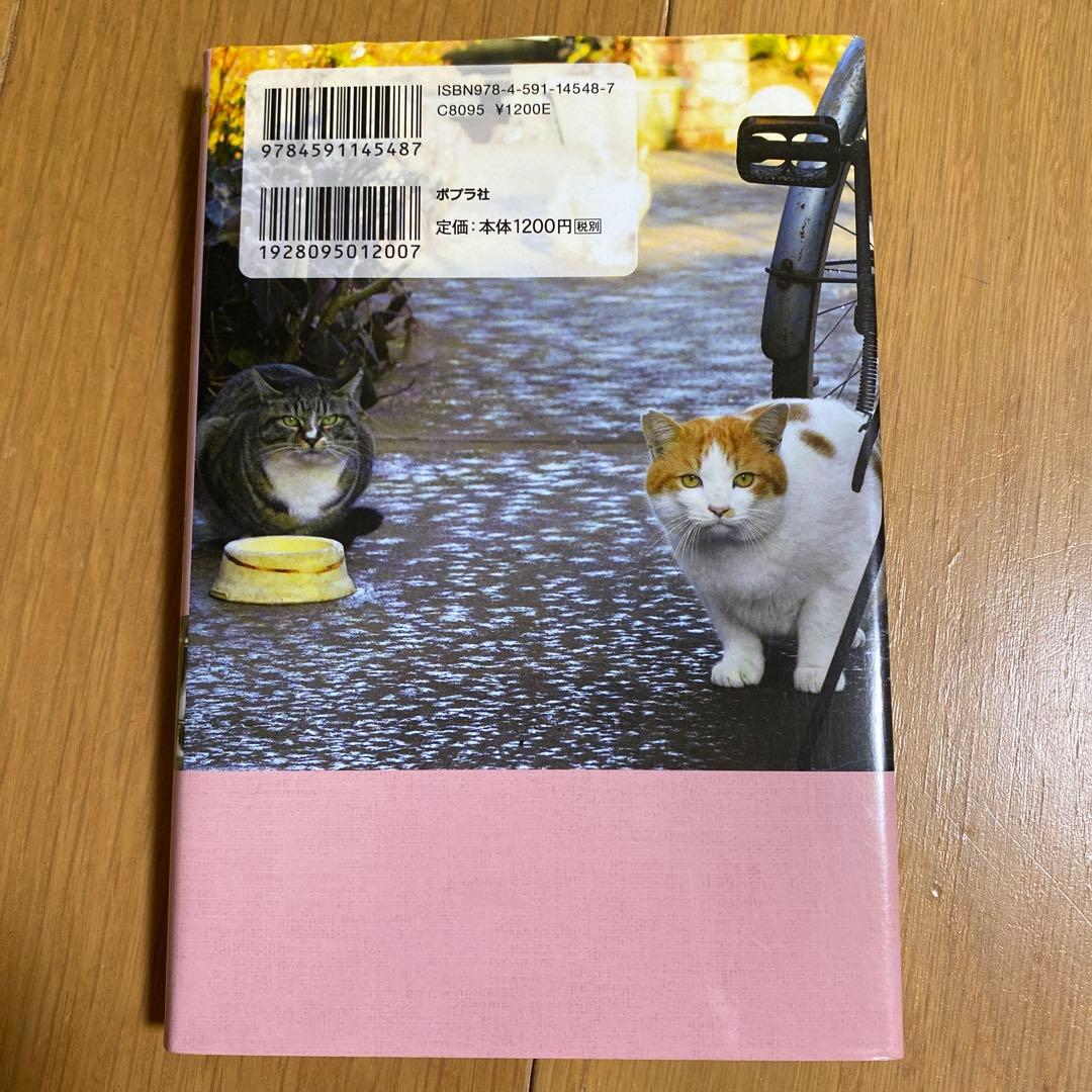 さくら猫と生きる 殺処分をなくすためにできること — image 3