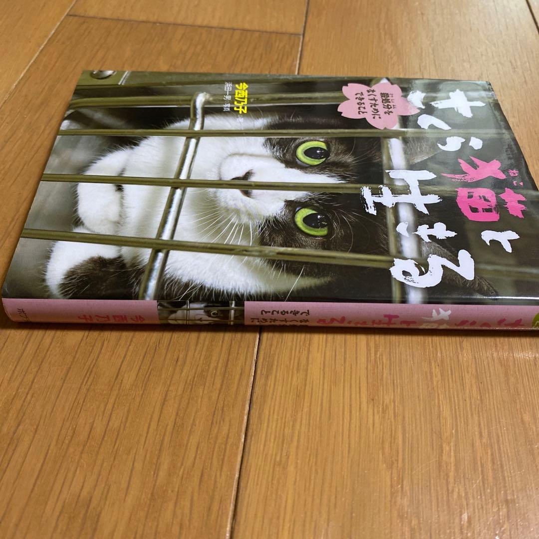 さくら猫と生きる 殺処分をなくすためにできること — image 4