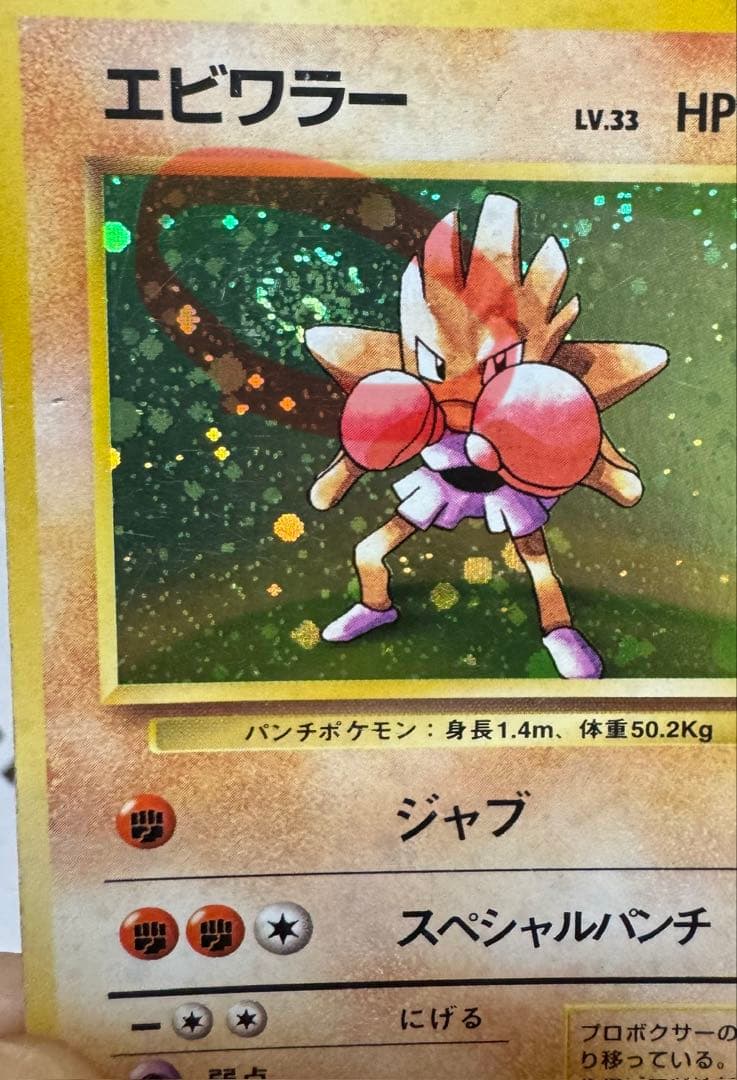 エビワラー 旧裏 渦巻きホロ 第1弾拡張パック — image 3