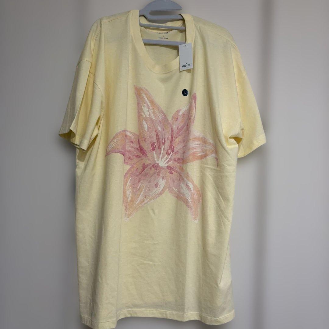 新品タグ付き Hollister レディースTシャツ L サイズ — image 4