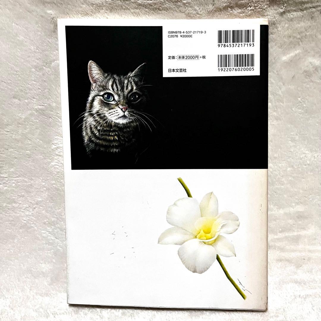 写真みたいな絵が描ける色鉛筆画 三上詩絵 — image 2