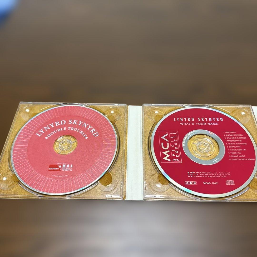 LYNYRD SKYNYRD /レーナードスキナード — image 3