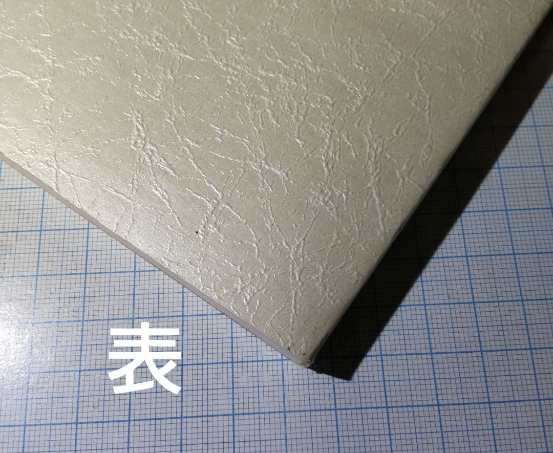 難あり アーシアン同人誌　THE SECRET GERDEN 高河ゆん — image 3