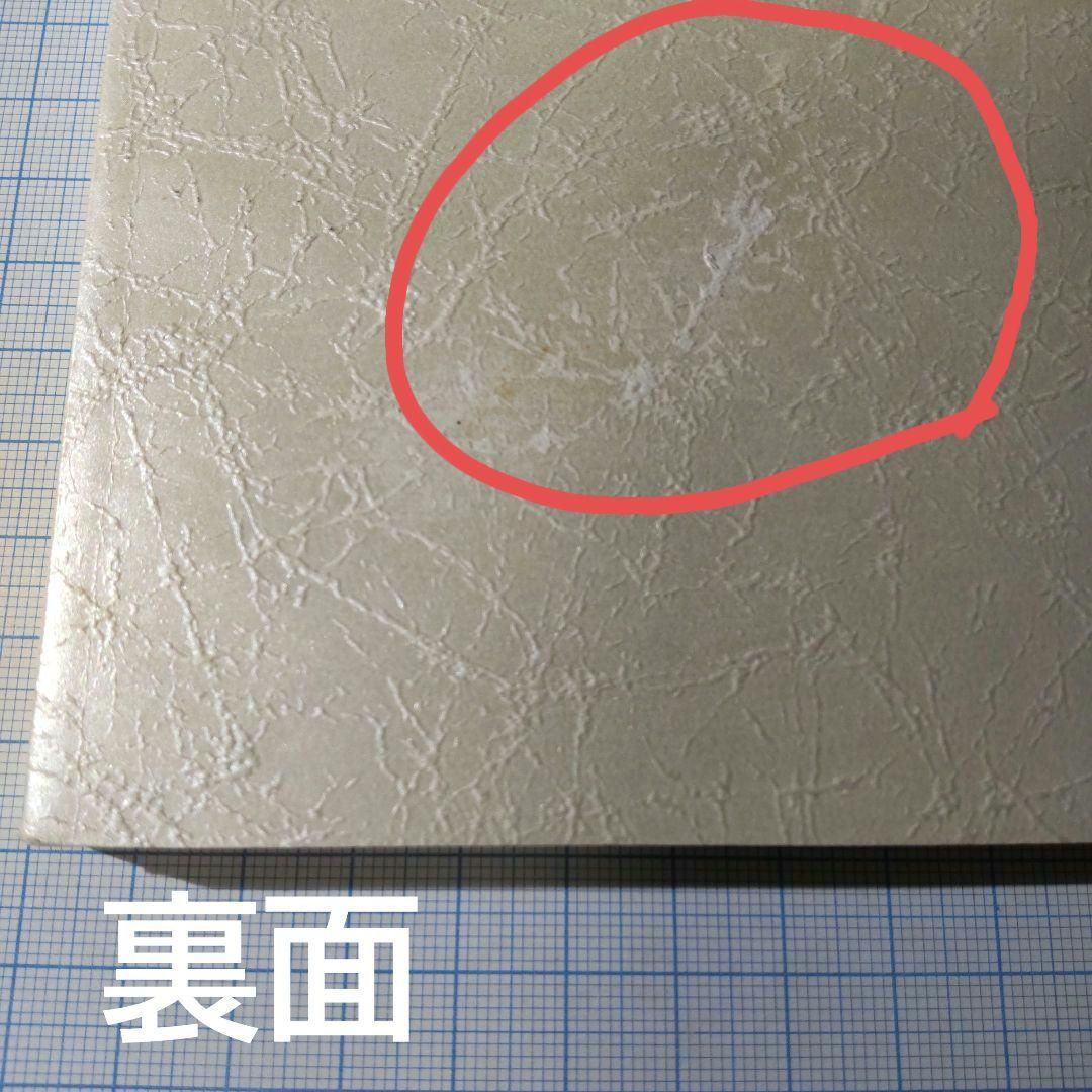 難あり アーシアン同人誌　THE SECRET GERDEN 高河ゆん — image 5