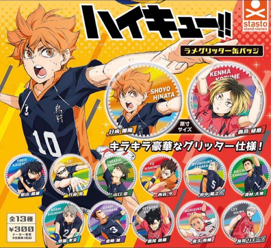 ハイキュー　田中龍之介　④個セット MIKASAキャララバー　缶バッジ — image 4