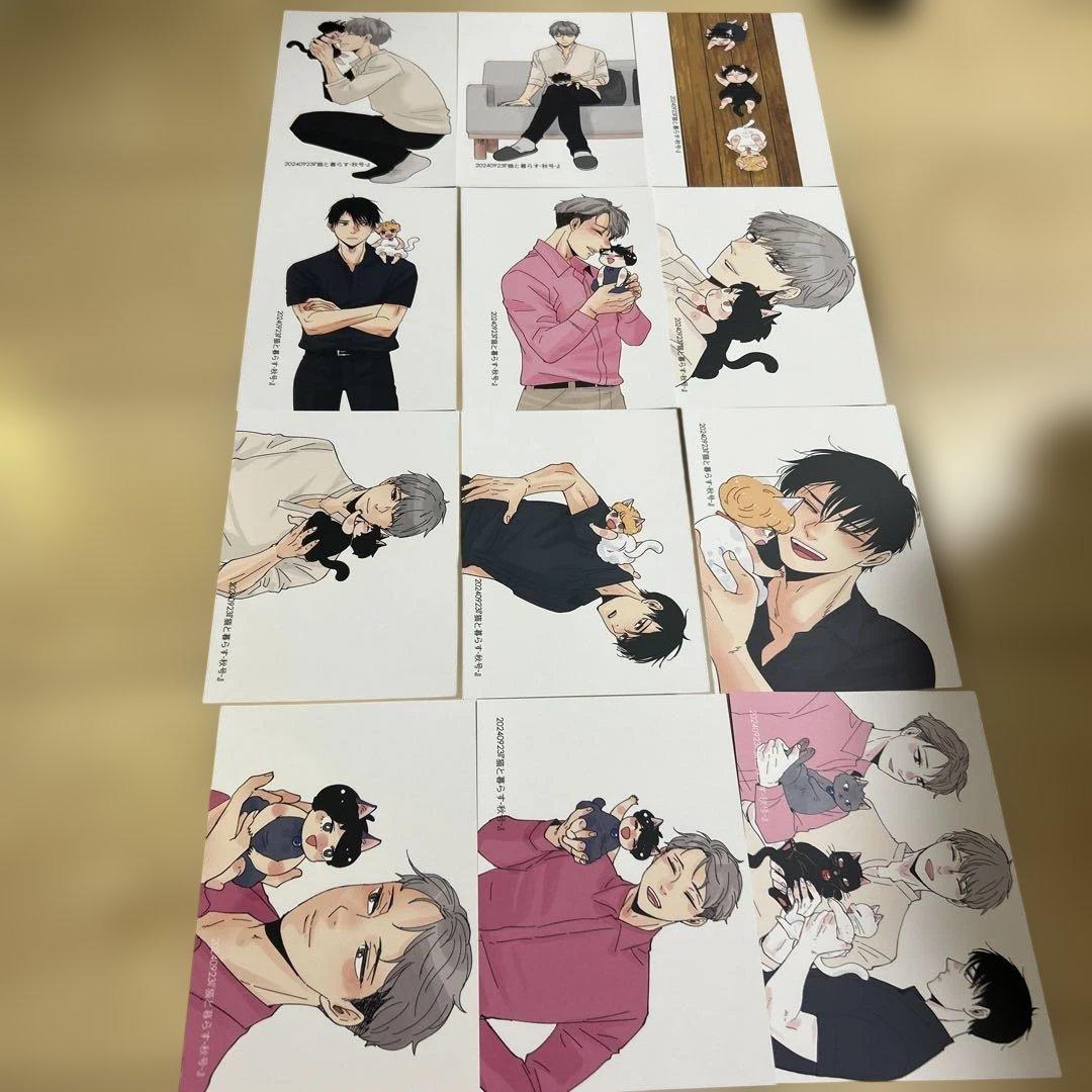 山本小鉄子　キラキラにゃんこ　クリアバック　ポストカード　BL — image 3