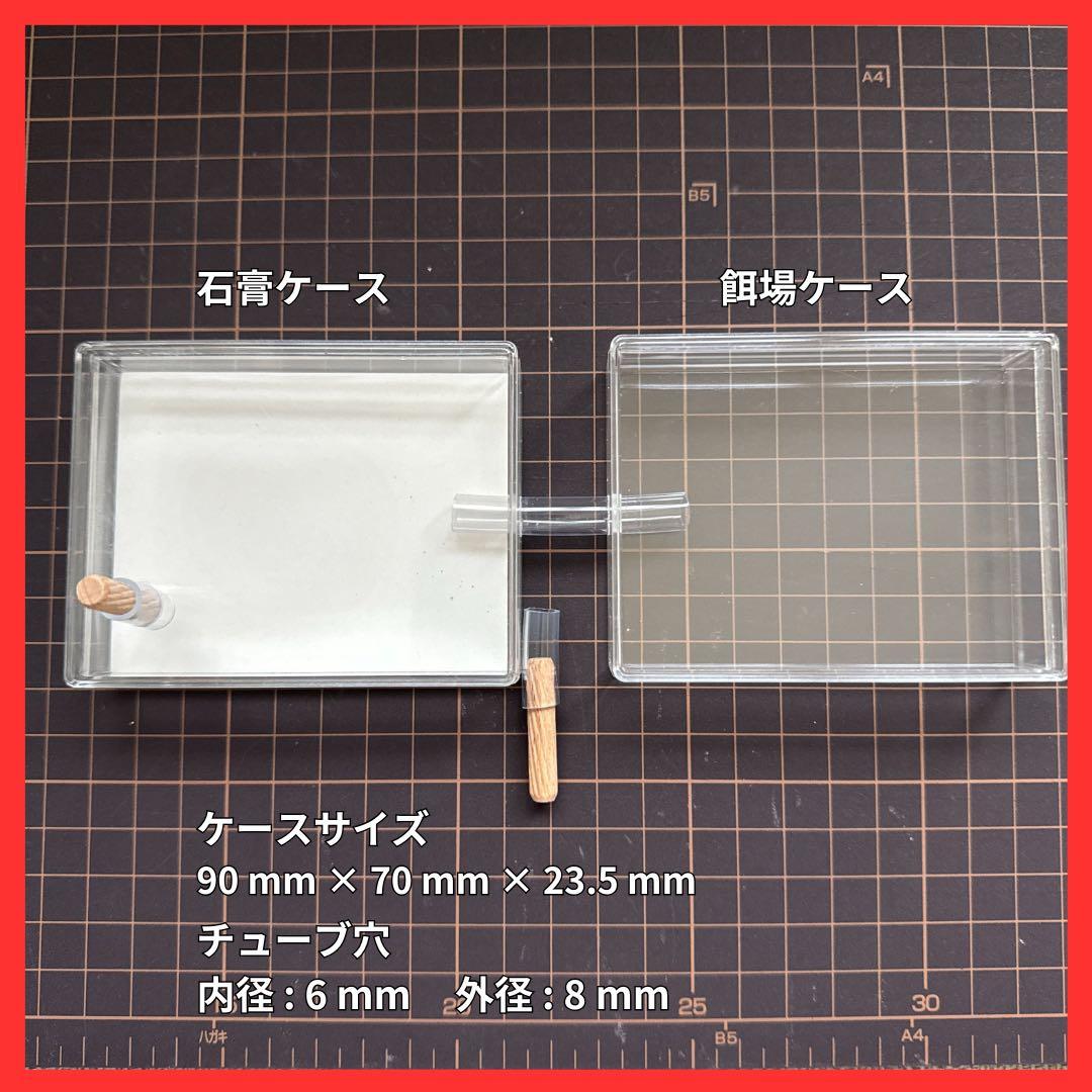 アリ飼育ケース(大) 餌場(大)付き 【アリの巣】 — image 2