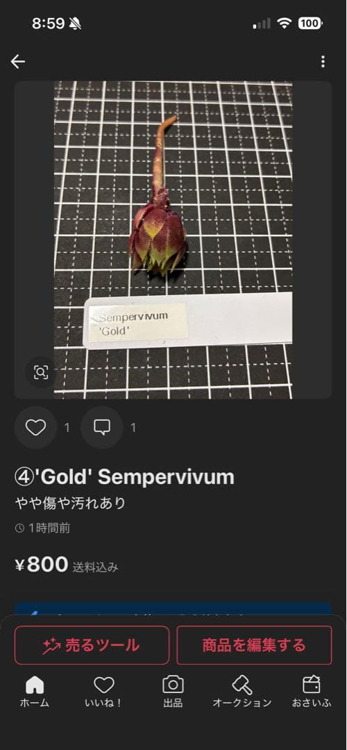 ネフ様専用追加分 — image 5