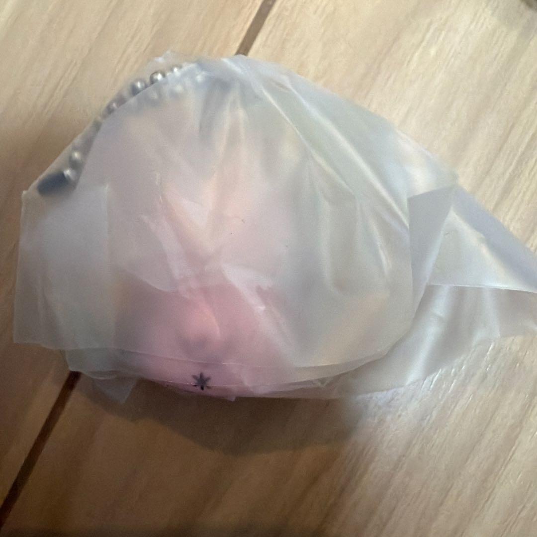 ポムポムプリン　わんわんパラダイスマスコット — image 2