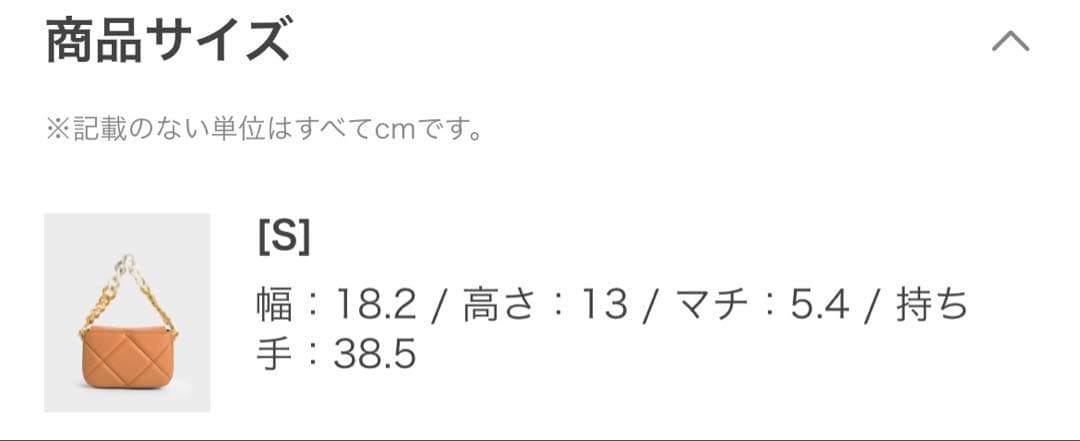 CHARLES & KEITH ハンドバッグ チェーンバッグ — image 3