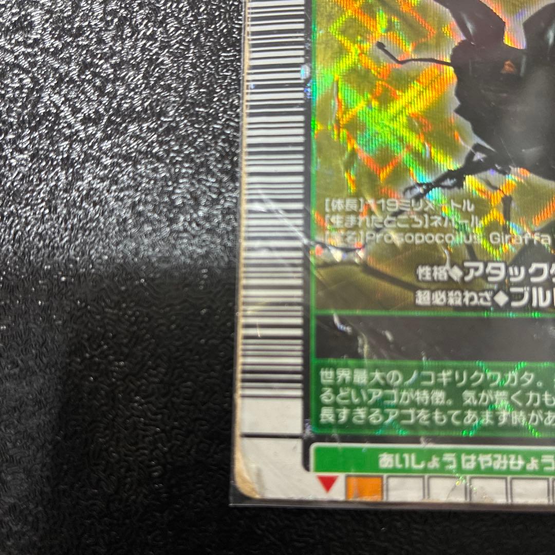 ムシキングギラファノコギリクワガタ — image 5