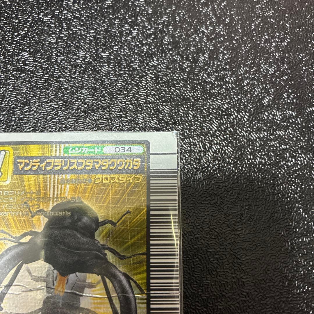 ムシキングマンディブラリスフタマタクワガタ — image 4
