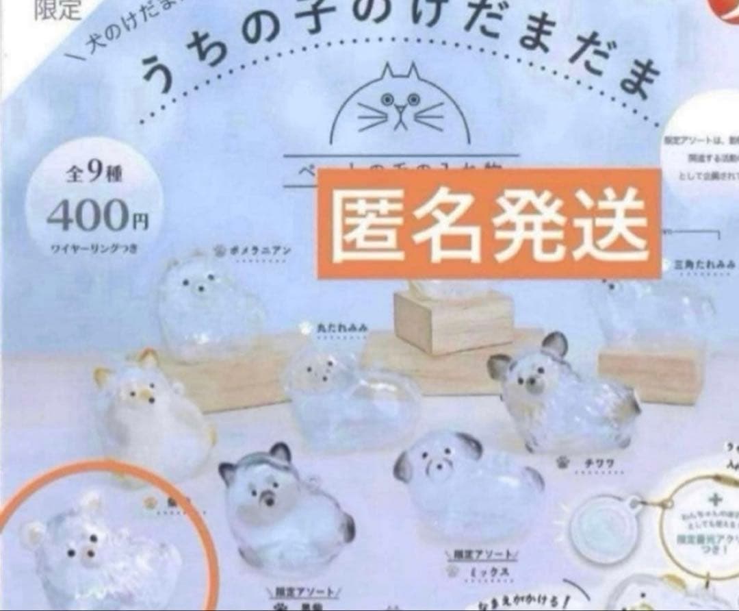 うちの子のけだまだま　犬　チワワ（白）　シープラ 限定 — image 2