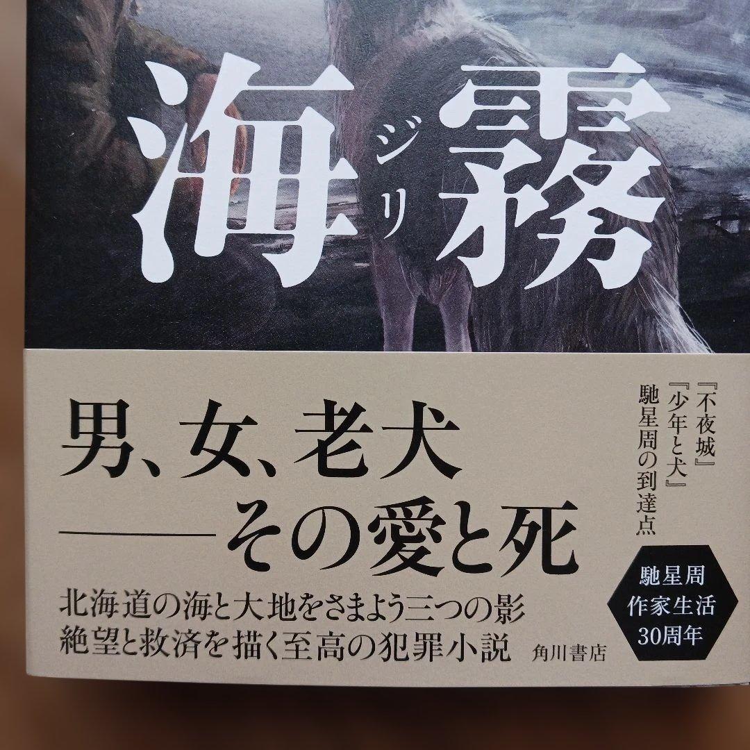 海霧 ―ジリ― — image 3